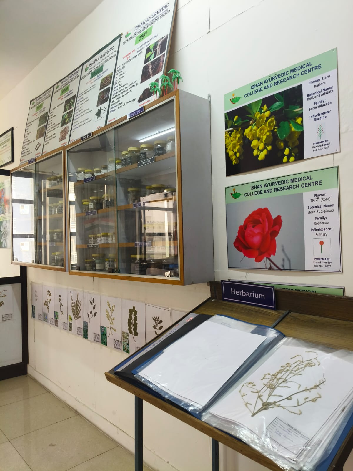 Department of Dravyaguna Vigyan - Key area 3